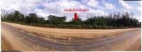 ที่ดินหลุดจำนอง ธ.ธนาคารออมสิน เชียงราย เมืองเชียงราย แม่ข้าวต้ม
