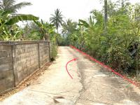 ที่ดินว่างเปล่าหลุดจำนอง ธ.ธนาคารกสิกรไทย เชียงราย แม่จัน สันทราย