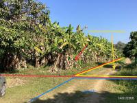 ที่ดินว่างเปล่าหลุดจำนอง ธ.ธนาคารกสิกรไทย เชียงราย เมืองเชียงราย แม่ข้าวต้ม