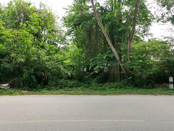 บ้านเดี่ยวหลุดจำนอง ธ.ธนาคารทหารไทยธนชาต เชียงราย เมืองเชียงราย บ้านดู่